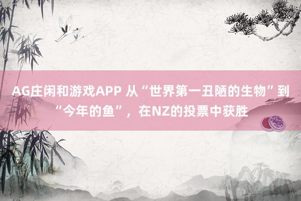 AG庄闲和游戏APP 从“世界第一丑陋的生物”到“今年的鱼”，在NZ的投票中获胜