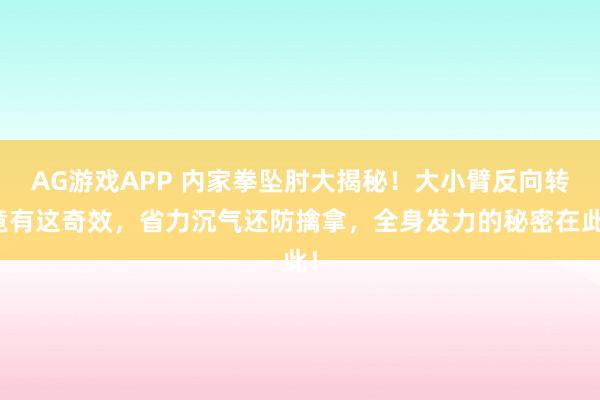 AG游戏APP 内家拳坠肘大揭秘！大小臂反向转竟有这奇效，省力沉气还防擒拿，全身发力的秘密在此！