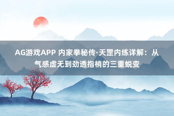 AG游戏APP 内家拳秘传·天罡内练详解：从气感虚无到劲透指梢的三重蜕变