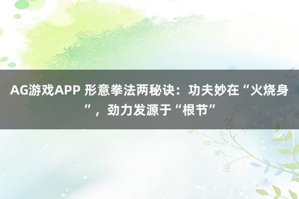 AG游戏APP 形意拳法两秘诀：功夫妙在“火烧身”，劲力发源于“根节”