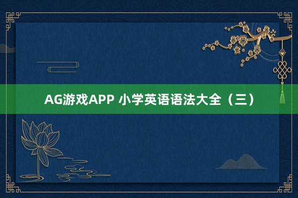 AG游戏APP 小学英语语法大全（三）