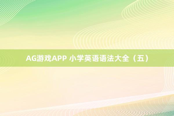 AG游戏APP 小学英语语法大全（五）