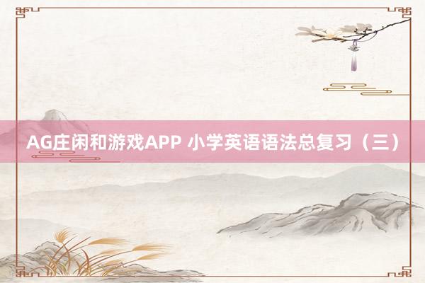 AG庄闲和游戏APP 小学英语语法总复习（三）