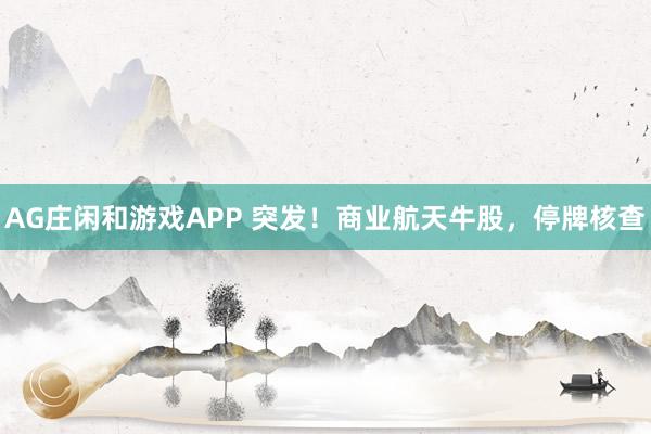 AG庄闲和游戏APP 突发！商业航天牛股，停牌核查