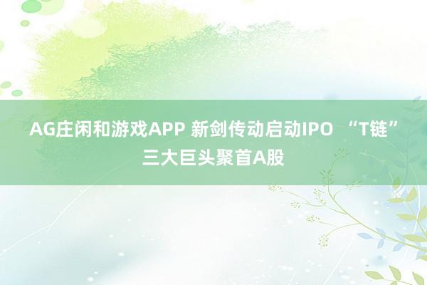 AG庄闲和游戏APP 新剑传动启动IPO  “T链”三大巨头聚首A股