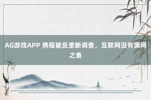 AG游戏APP 携程被反垄断调查，互联网没有漏网之鱼