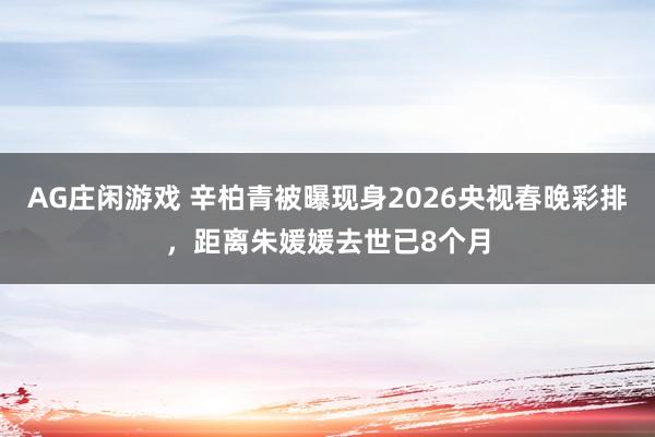 AG庄闲游戏 辛柏青被曝现身2026央视春晚彩排，距离朱媛媛去世已8个月