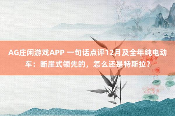 AG庄闲游戏APP 一句话点评12月及全年纯电动车：断崖式领先的，怎么还是特斯拉？