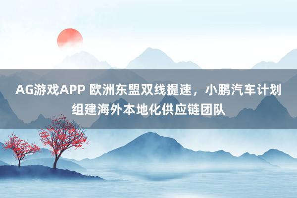 AG游戏APP 欧洲东盟双线提速，小鹏汽车计划组建海外本地化供应链团队