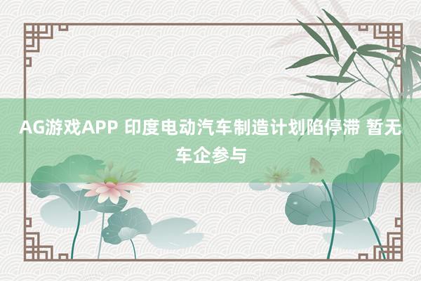 AG游戏APP 印度电动汽车制造计划陷停滞 暂无车企参与