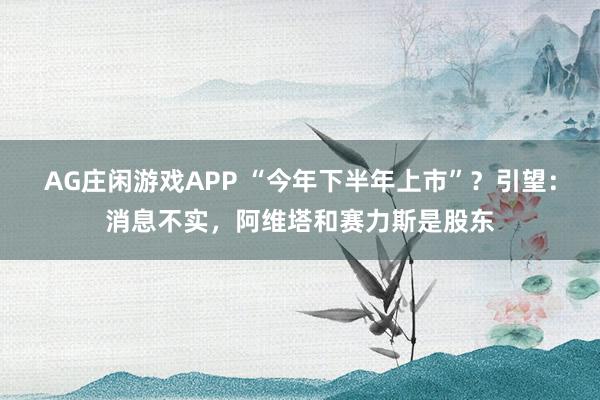 AG庄闲游戏APP “今年下半年上市”？引望：消息不实，阿维塔和赛力斯是股东