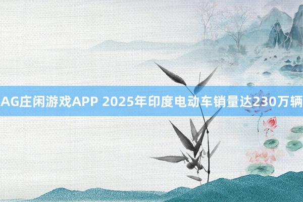 AG庄闲游戏APP 2025年印度电动车销量达230万辆