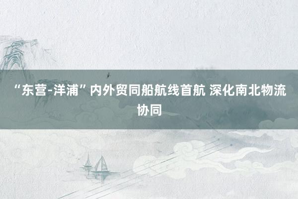“东营-洋浦”内外贸同船航线首航 深化南北物流协同