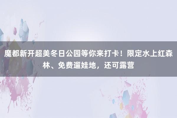 魔都新开超美冬日公园等你来打卡！限定水上红森林、免费遛娃地，还可露营