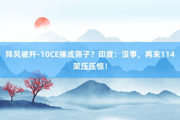阵风被歼-10CE揍成筛子？印度：没事，再来114架压压惊！
