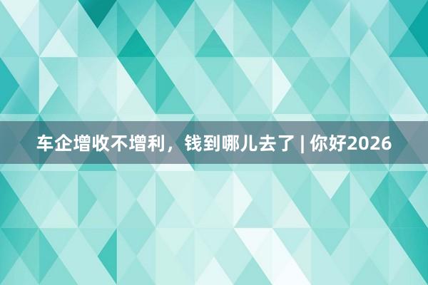 车企增收不增利，钱到哪儿去了 | 你好2026