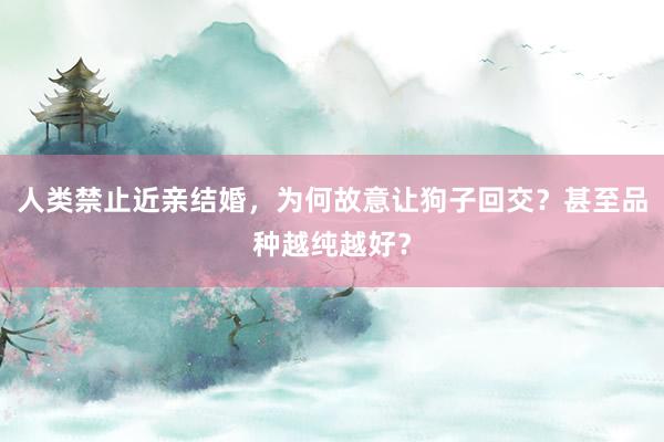 人类禁止近亲结婚，为何故意让狗子回交？甚至品种越纯越好？