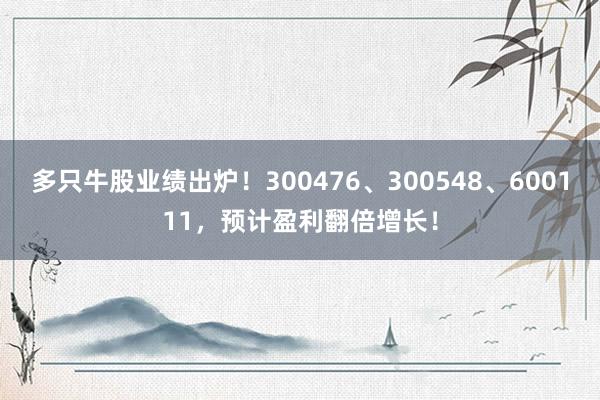 多只牛股业绩出炉！300476、300548、600111，预计盈利翻倍增长！