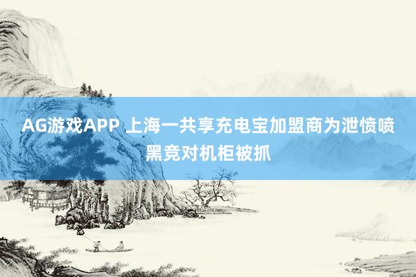 AG游戏APP 上海一共享充电宝加盟商为泄愤喷黑竞对机柜被抓