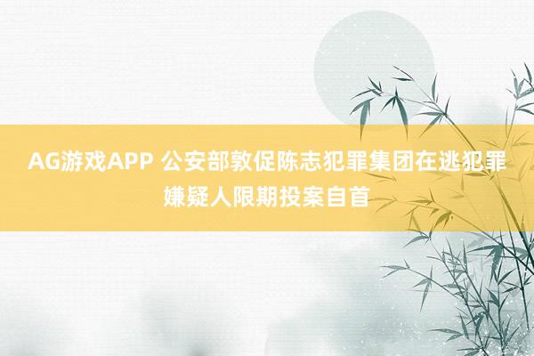 AG游戏APP 公安部敦促陈志犯罪集团在逃犯罪嫌疑人限期投案自首