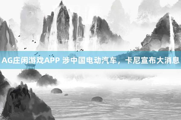 AG庄闲游戏APP 涉中国电动汽车，卡尼宣布大消息