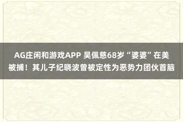 AG庄闲和游戏APP 吴佩慈68岁“婆婆”在美被捕！其儿子纪晓波曾被定性为恶势力团伙首脑