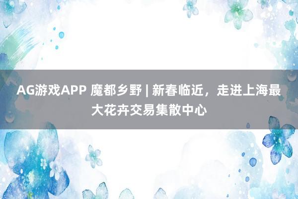 AG游戏APP 魔都乡野 | 新春临近，走进上海最大花卉交易集散中心