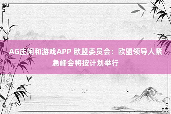 AG庄闲和游戏APP 欧盟委员会：欧盟领导人紧急峰会将按计划举行