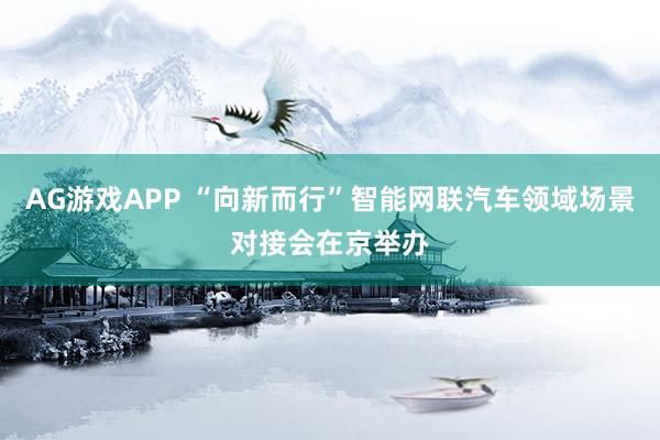 AG游戏APP “向新而行”智能网联汽车领域场景对接会在京举办