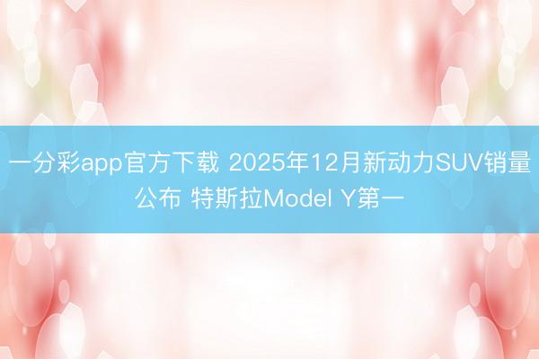 一分彩app官方下载 2025年12月新动力SUV销量公布 特斯拉Model Y第一