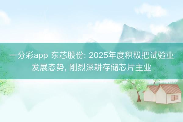 一分彩app 东芯股份: 2025年度积极把试验业发展态势, 刚烈深耕存储芯片主业