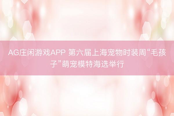 AG庄闲游戏APP 第六届上海宠物时装周“毛孩子”萌宠模特海选举行